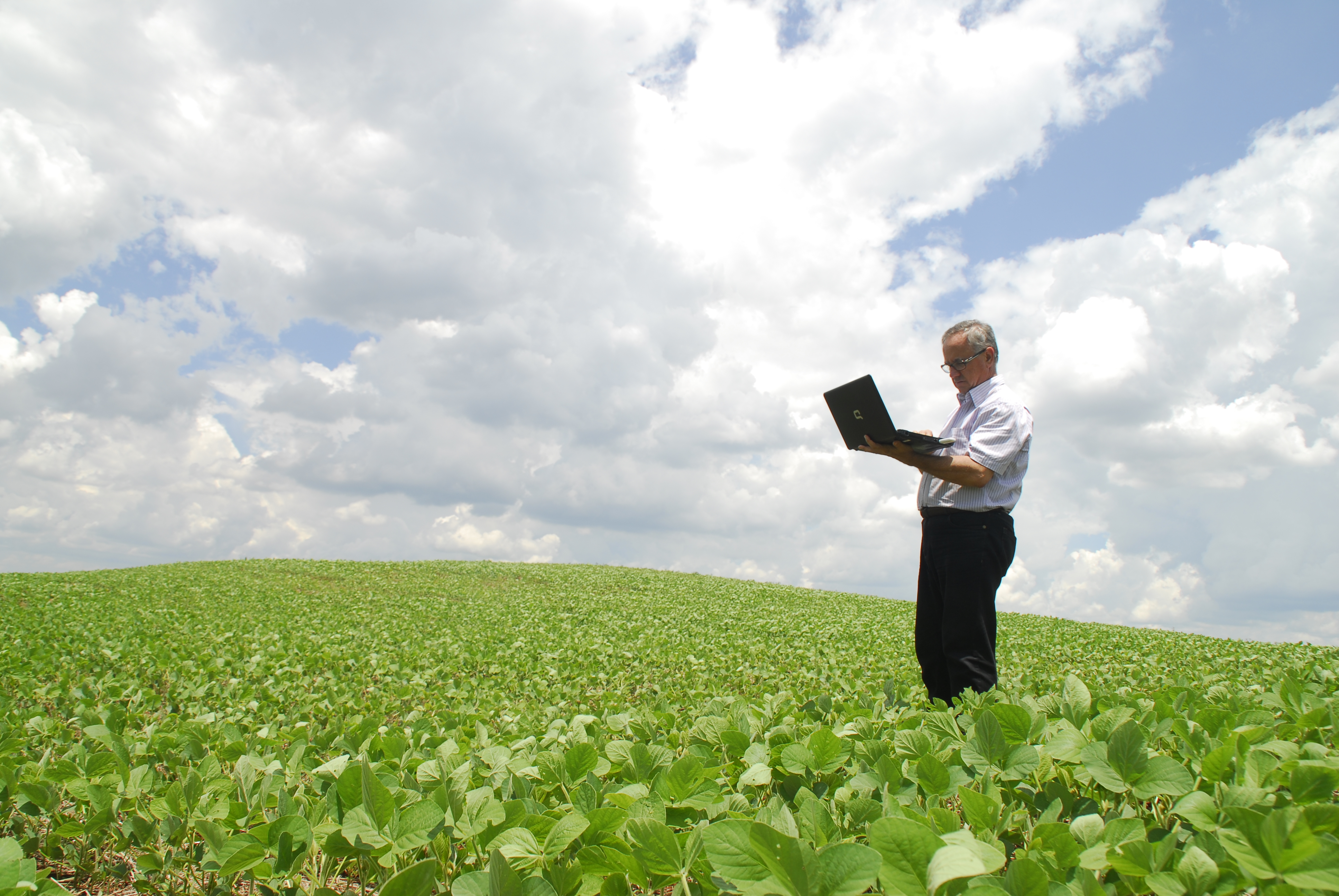 Tecnologia no campo em Cambará (PR)