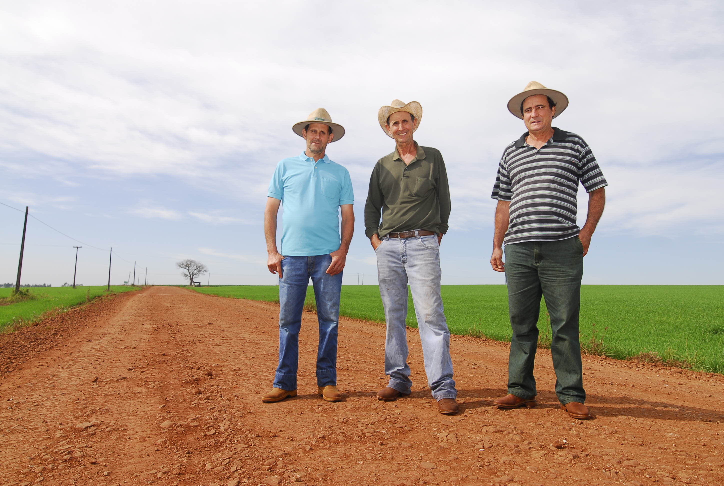 Irmãos agricultores de Rolândia (PR)